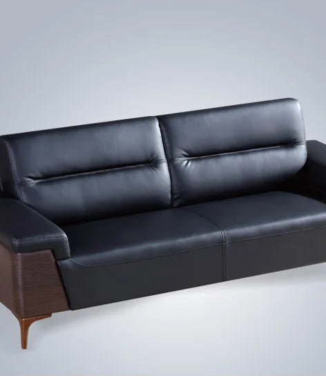 Office Sofa Modern